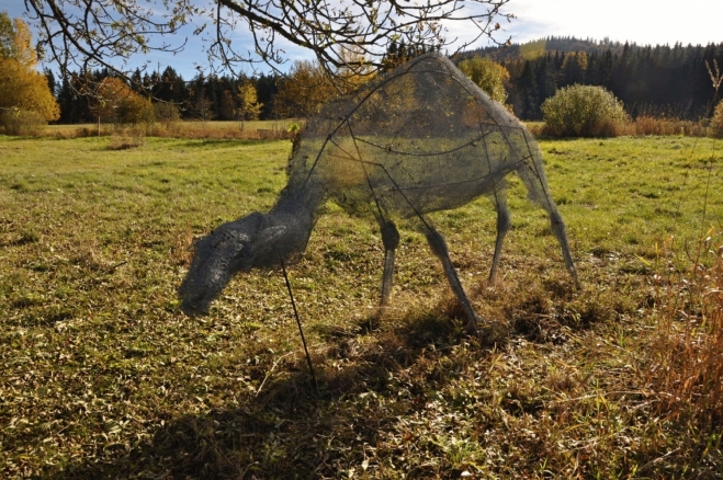 Velký bloud.