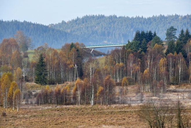 Pohled k Silnické hoře (998 m n. m.) přes PR Hliniště.