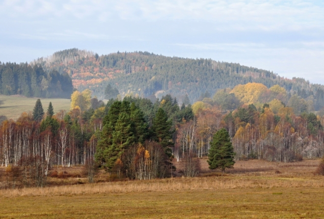 Strážný.