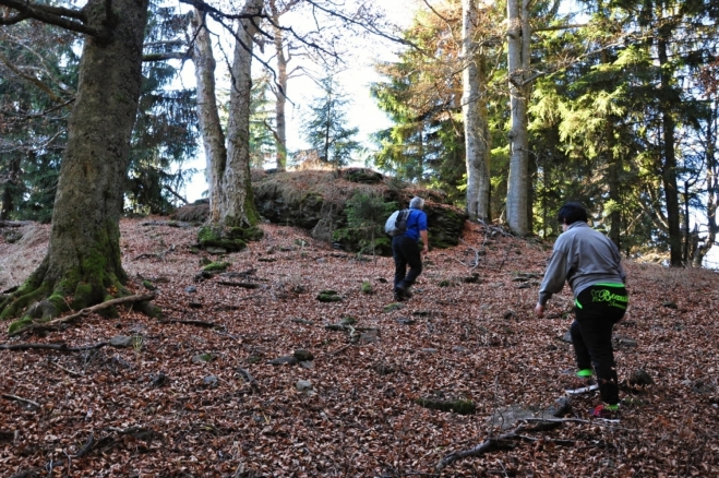 Na Červeném vrchu (1 203 m n. m.).