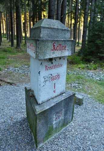 Křížová smrč u Boubínské obory.