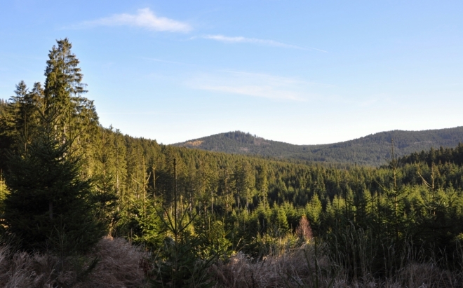 Ahornnstein (1 019 m n. m.) - vrchol za hranicemi.