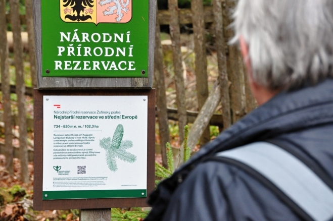 U NPR Žofínský prales.