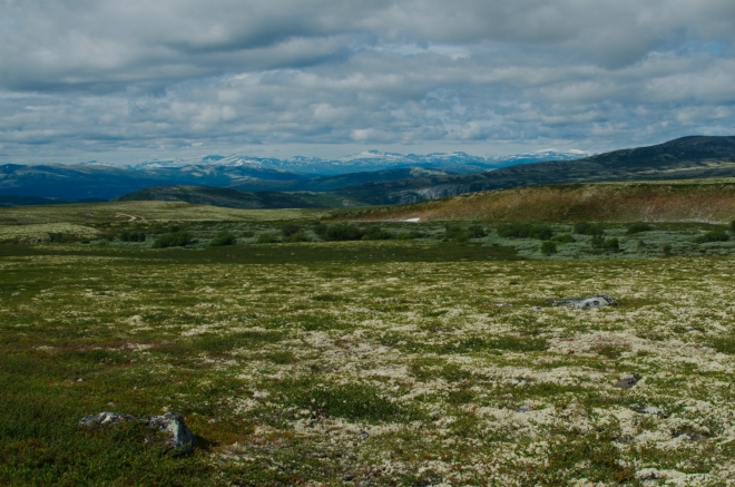 Jihozápadní obzor ohraničují zasněžené štíty nejvyššího norského pohoří, Jotunheimenu.