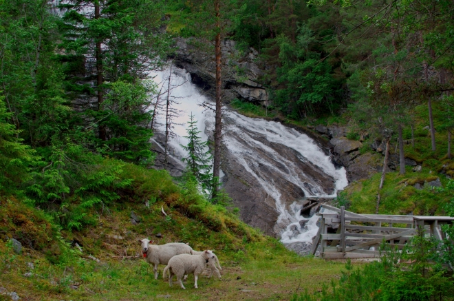 U vodopádu nechtěně plašíme několik ovcí, to se nám asi za dovolenou stane ještě mockrát.
