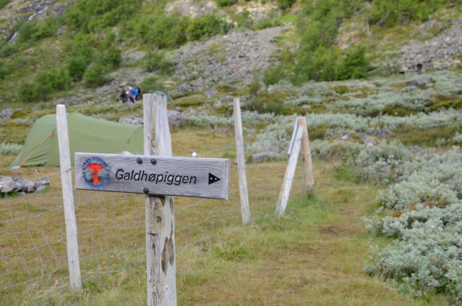 Vzhůru do národního parku Jotunheimen, další zastávka za 1300 výškových metrů na vrcholu Galdhøpiggenu. Když nebude zbytí, tak i dříve.