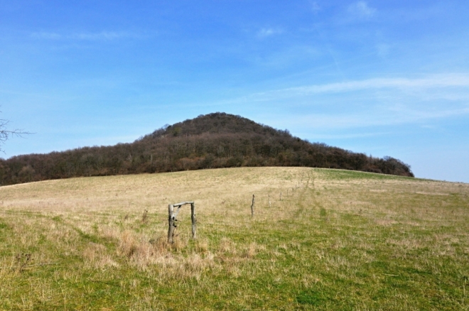 Boreč.