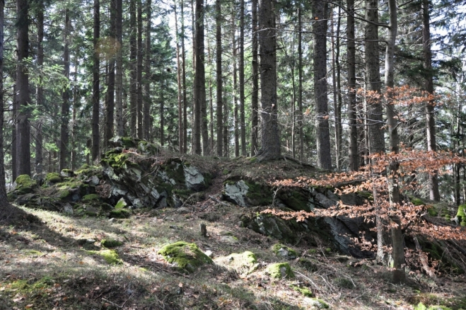 Kóta 1 002 m je jižním vrcholem Velkého Plešného (www.tisicovky.cz). Na vrcholu je malá skalka.