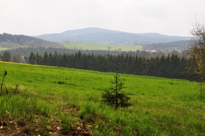 Kohout (871 m n. m.) je nejvyšší vrch Slepičích hor.