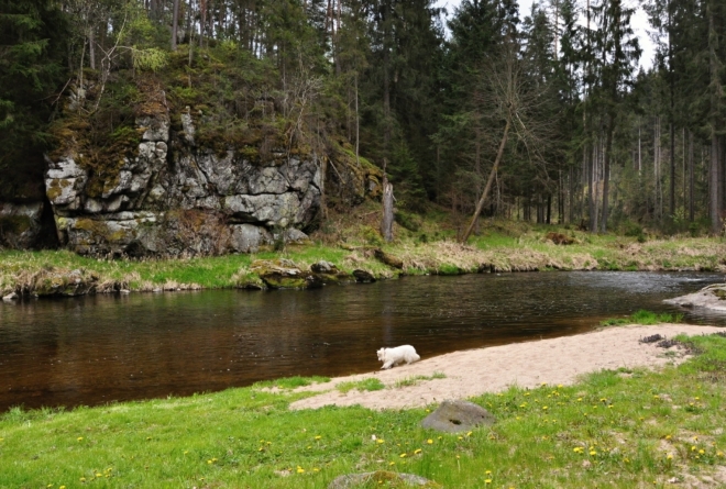 Vločka se občerstvuje.