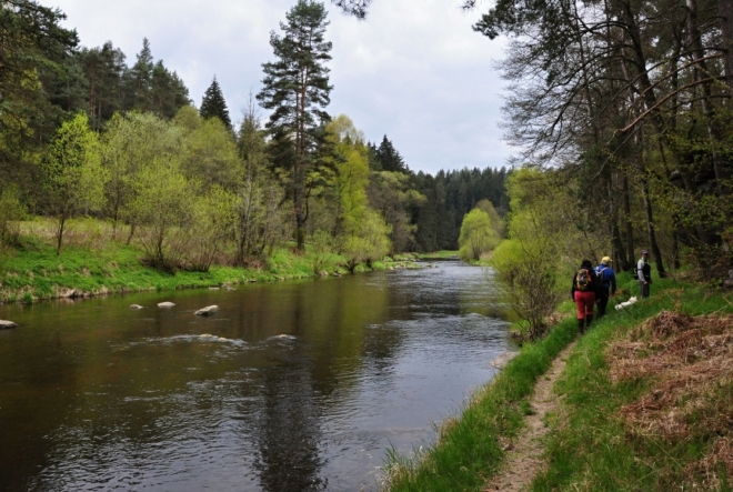 Malebnost řeky skryté v lesích nelze přehlédnout.