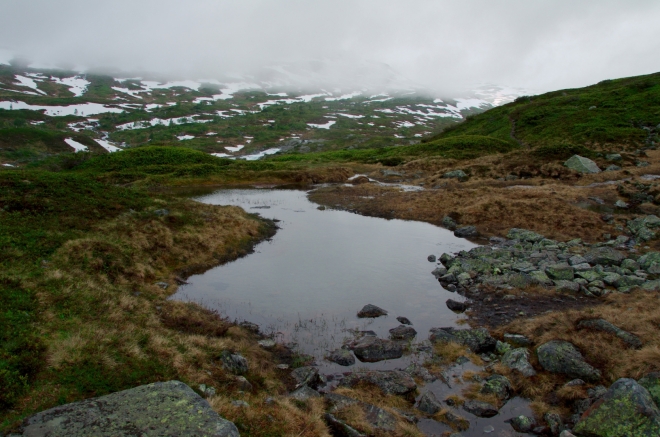 Hardangervidda je krajinou jezer, jezírek a jezíreček…