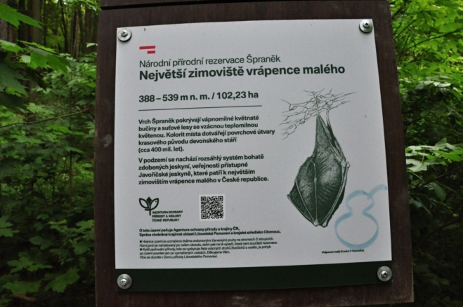 Na NS Šproněk.