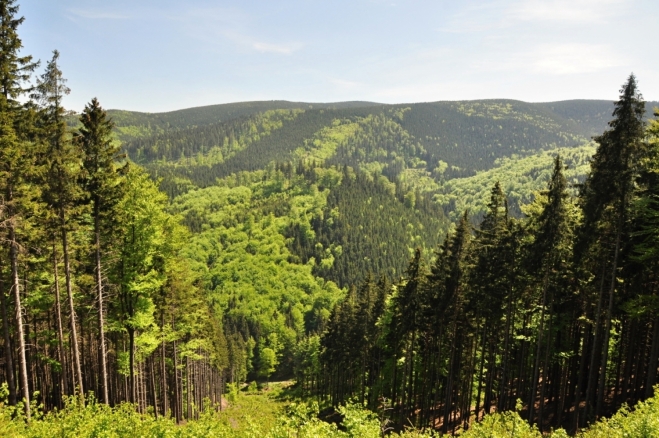 Lesy se na chvilku rozestoupily, aby odhalily pohled do údolí Stříbrného potoka.