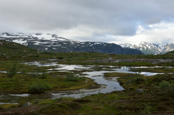 Jeden ukázkový mokřad. Tato Hardangervidda je trochu přívětivější než ta, kterou jsme zažili včera. Na území samotného národního parku se dnes opět nedostaneme, ale krajina je i přesto divoká až dost.