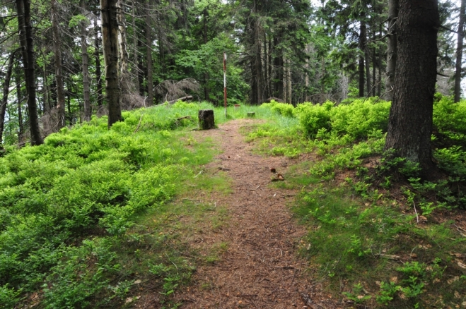 Malý Polom - vrchol (1 051 m n. m. ).