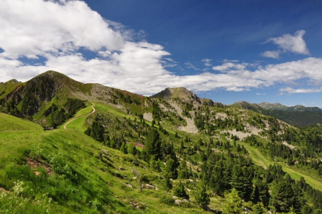 Cimon del To della Trappolla (2 401 m n. m.).