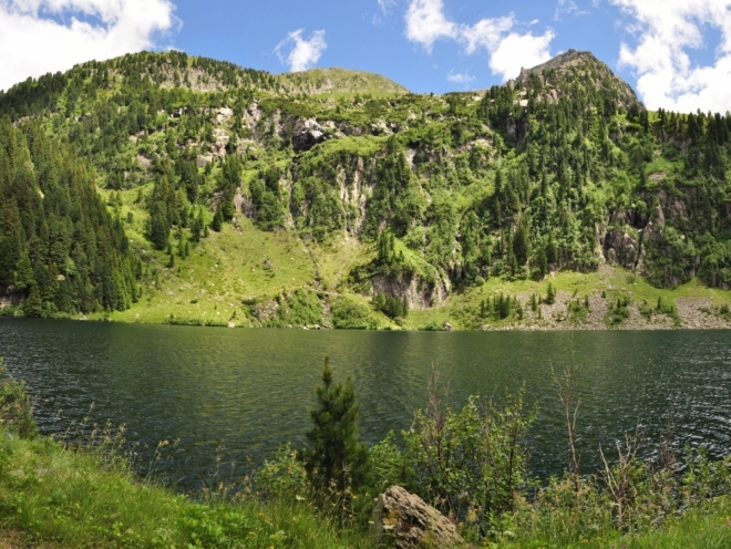 Nejen vesmír i hluboké vody jezera skrývají malou planetu. Pro jedinou živou bytost, pro jedinou květinu...