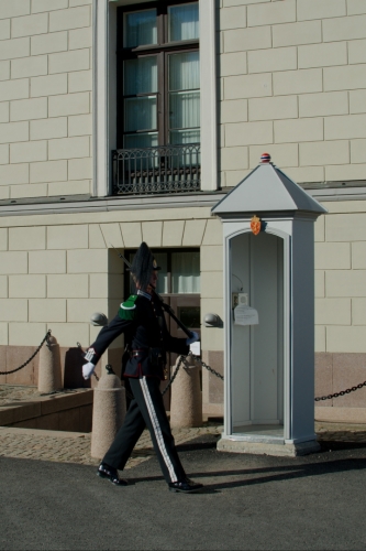 Okolo paláce jsou rozmístěny stráže. Tento hlídač poctivě pochoduje a dává pozor, co se děje v jeho okolí.