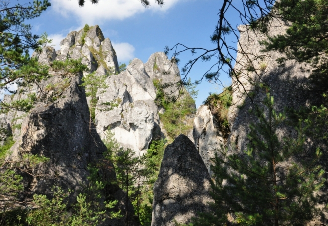 Ve skalách.