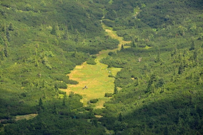 Bobrovecká dolina.