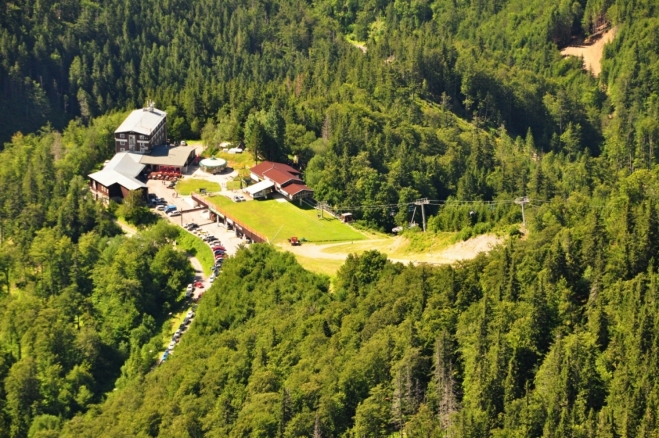 Kosodrevina.