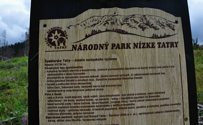 Inu toto je ten důvod.