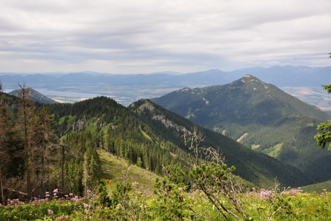 Vlevo Machnaté, vpravo Poludnica. (1 549 m n. m.).