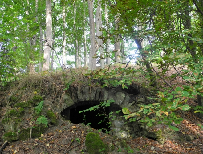 Stejně jako mnoho dalších i vesnice Hraničky brzy po válce zanikla. Dnes zde zažijete zvláštní objevitelskou atmosféru. Pozůstatky mnoha hamrů, hutí, náhonů poutají i naši pozornost.