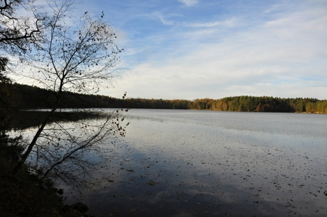 Blanský rybník.