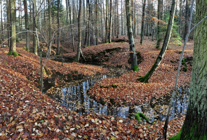 Munický potok.