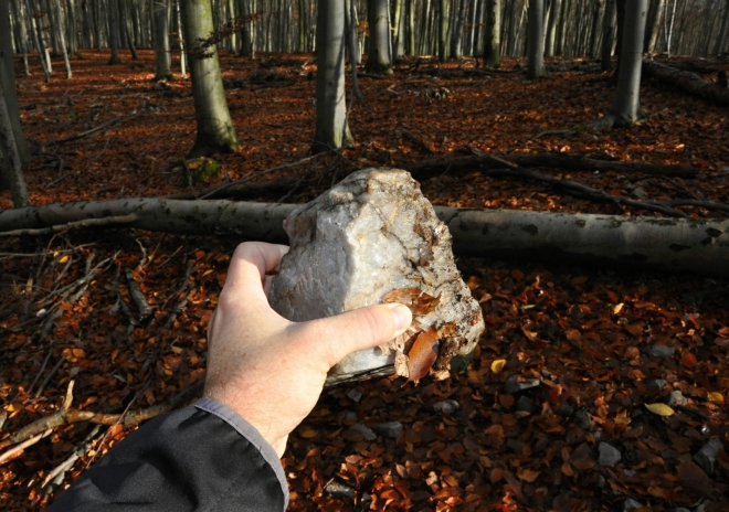 I křemen je v malém množství v podloží Kameníku zastoupený.