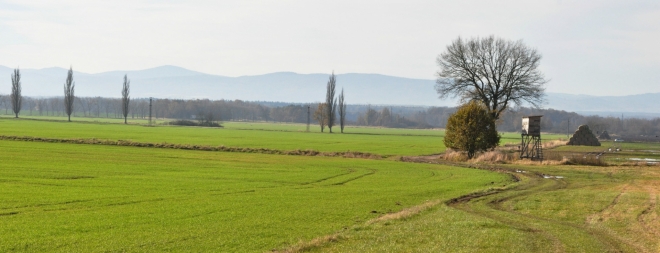 Roviny Českobudějovické pánve.