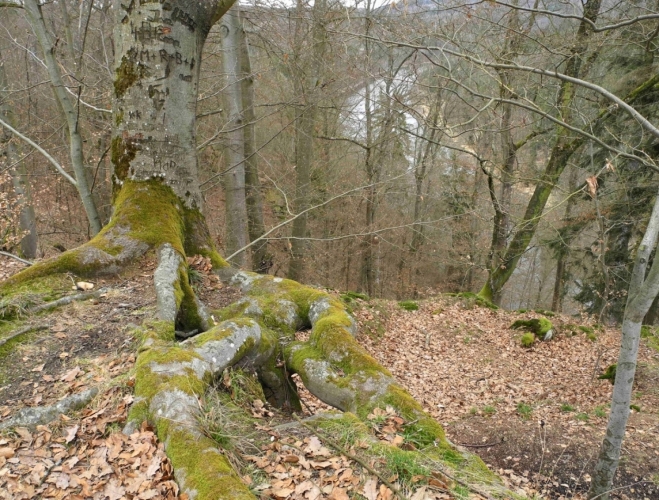 Baba. Na ostrohu nad Vltavou.