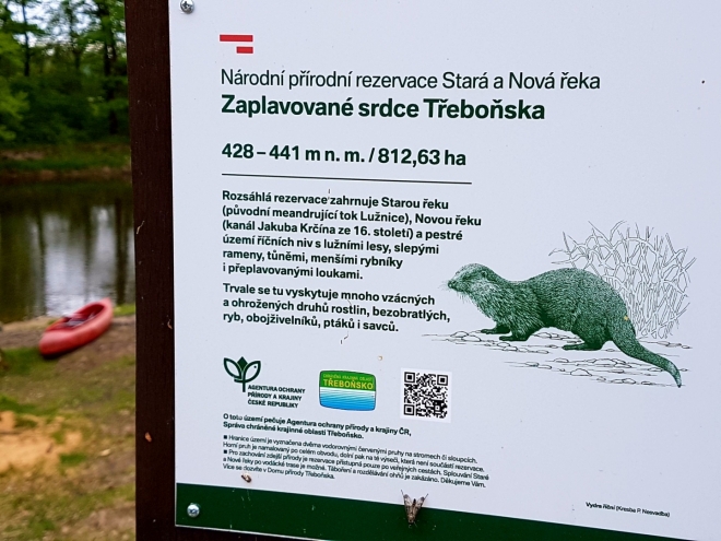 Příroda staré Lužnice skrývá mnohé překvapení.