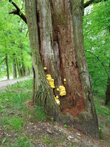 U Stříbřeckého mostu...