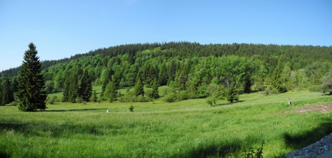 Vrch Krb (1 019 m n. m.) je také tisícovkou.