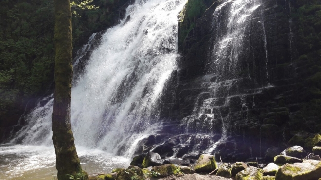 Cascade de la Roche