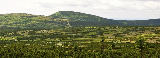Kotel a Zlaté návrší.