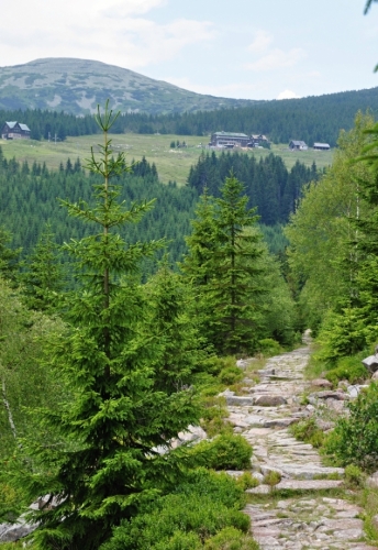 Před bouřkou musíme překonat Medvědí důl, než se ukryjeme v Brádlerových boudách. Ještě je to kus cesty...