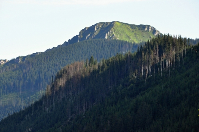 Osobitá.