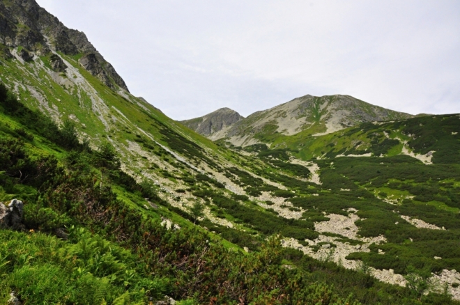 Spálená.