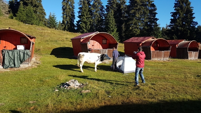 Ranní přepadení. Pan domácí si pozval přítelkyně, abychom se u něho museli ubytovat...