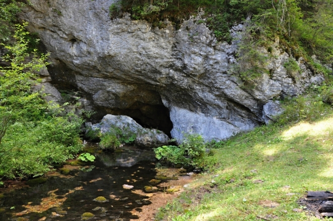 Potok Gărdişoara vyvěrá z jeskyně Gura Apei...