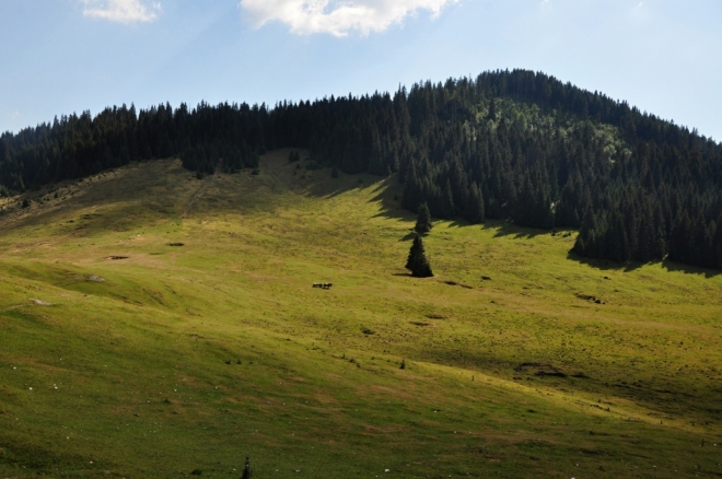 Pod hřebenem Vf. Gudafu (1 477 m n. m.).