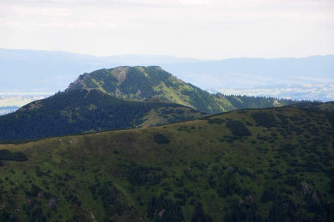 Osobitá.