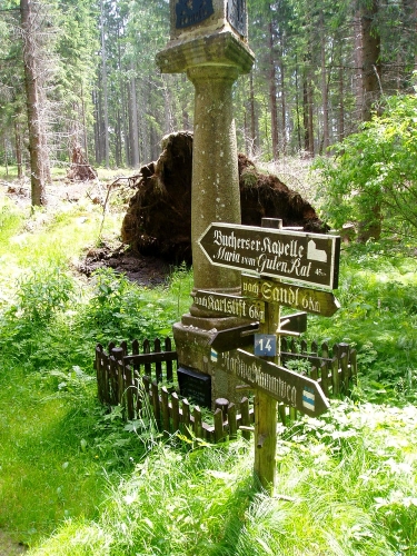 Cesta vede stále lesem přes Stodůlecký vrch stále po nové značené hřebenové příhraniční stezce.