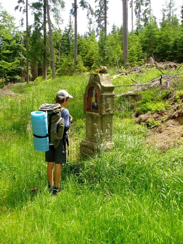 Kdesi vlevo pod námi jsou prameny Pohořského potoka, ale zahnout k nim, jak jsme původně chtěli, se nám nedaří.