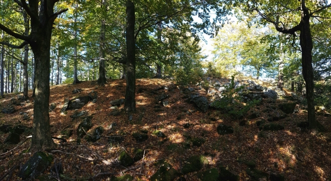 Pěnkavčí vrch.