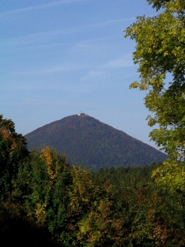 Královna.